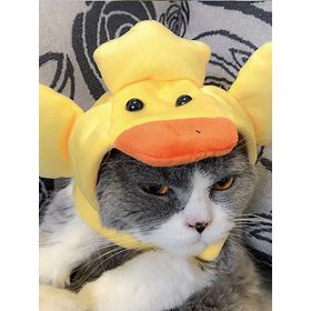 Curly Hair Pet Hat Cat Funny Dress Up Pet Products (Option: Duck-Average Size)