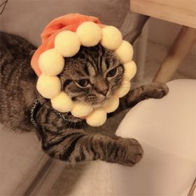 Curly Hair Pet Hat Cat Funny Dress Up Pet Products (Option: Sunflower-Average Size)